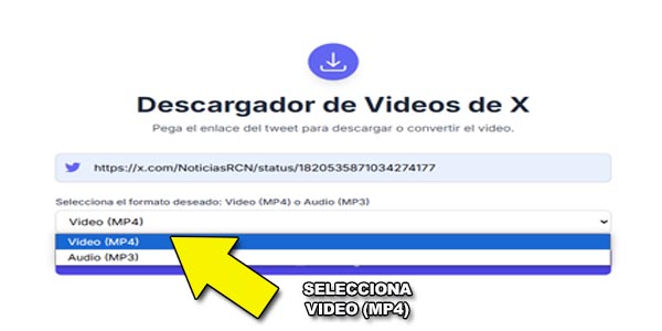Selecciona el formato